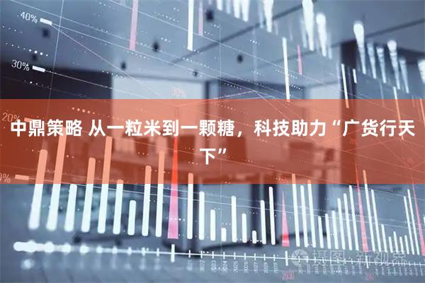 中鼎策略 从一粒米到一颗糖，科技助力“广货行天下”