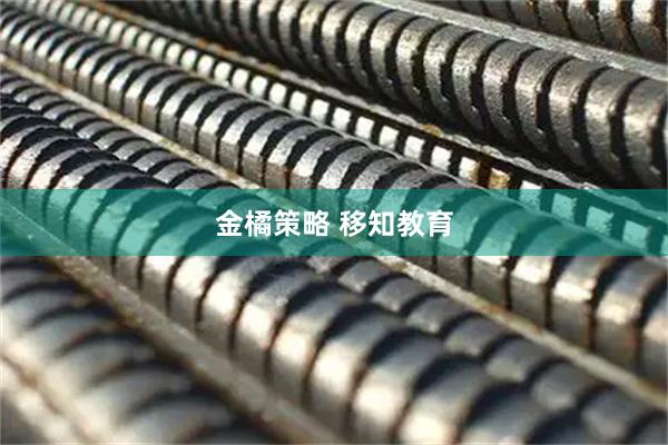 金橘策略 移知教育