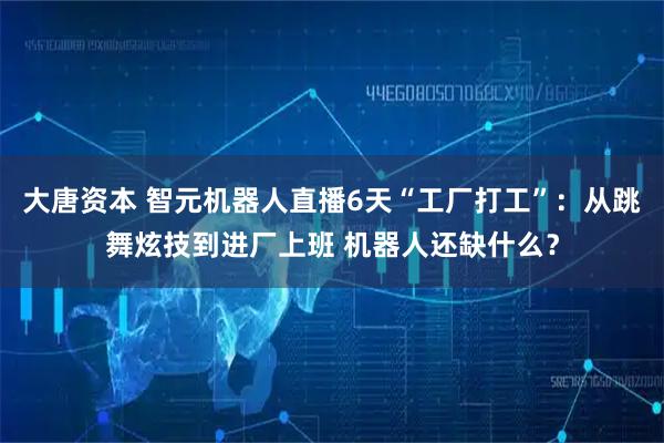 大唐资本 智元机器人直播6天“工厂打工”：从跳舞炫技到进厂上班 机器人还缺什么？