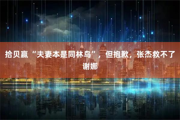 拾贝赢 “夫妻本是同林鸟”，但抱歉，张杰救不了谢娜