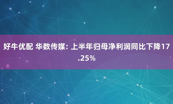好牛优配 华数传媒: 上半年归母净利润同比下降17.25%